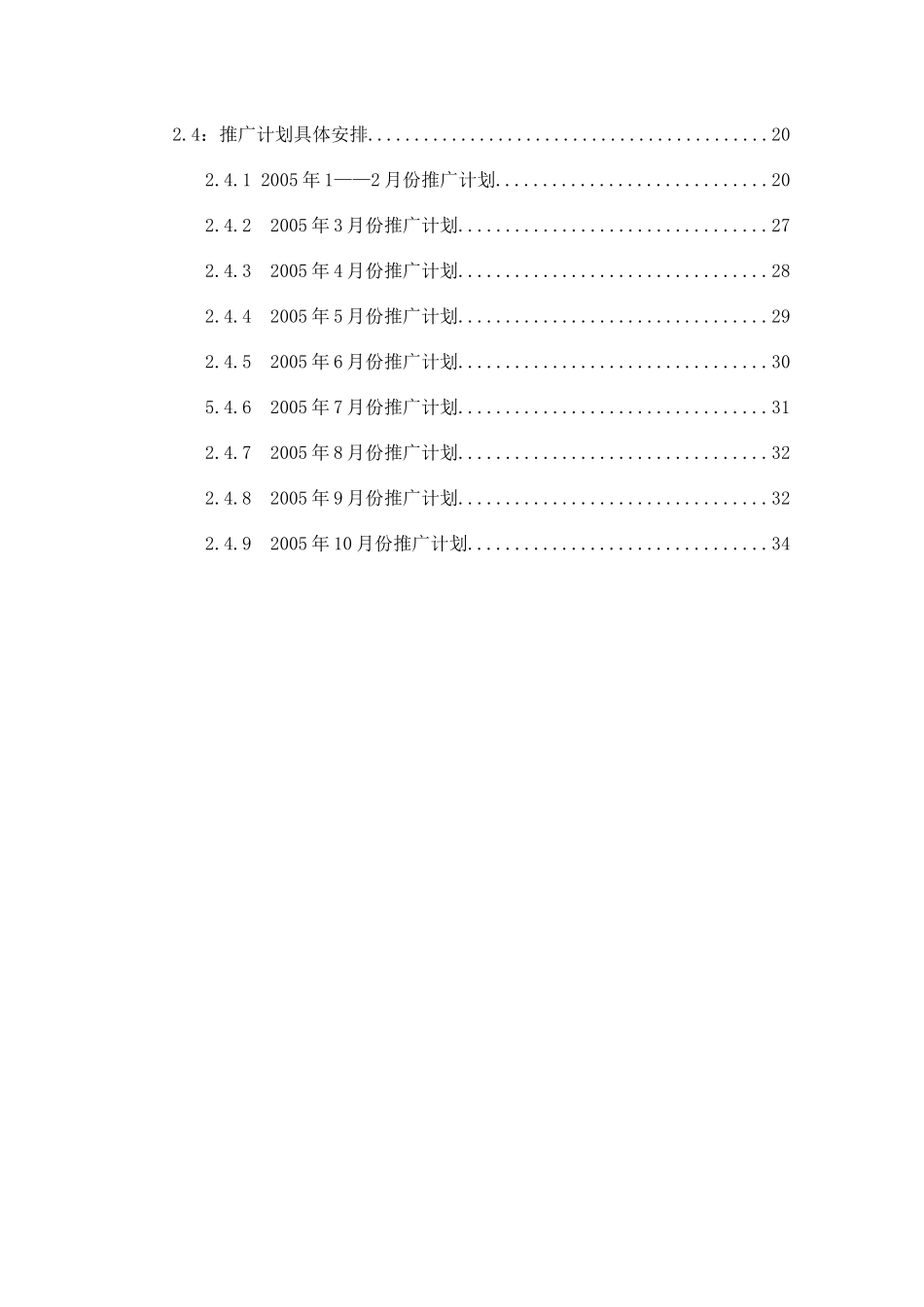 项目某某年工作总结某某年销售推广计划_第2页