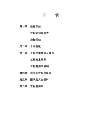 一支渠路建设工程项目施工招标文件