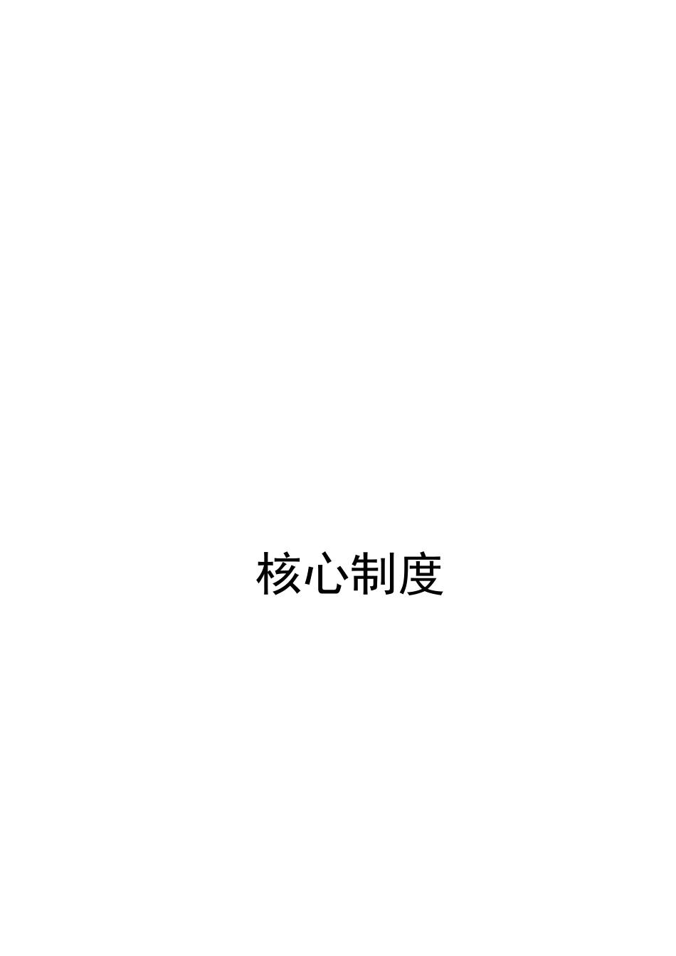 医院核心制度规章_第1页