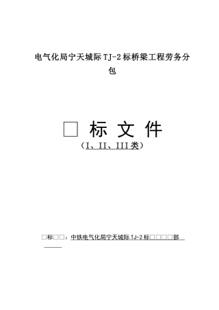 电气化局宁天城际TJ-2标桥梁工程劳务分包项目招采资料