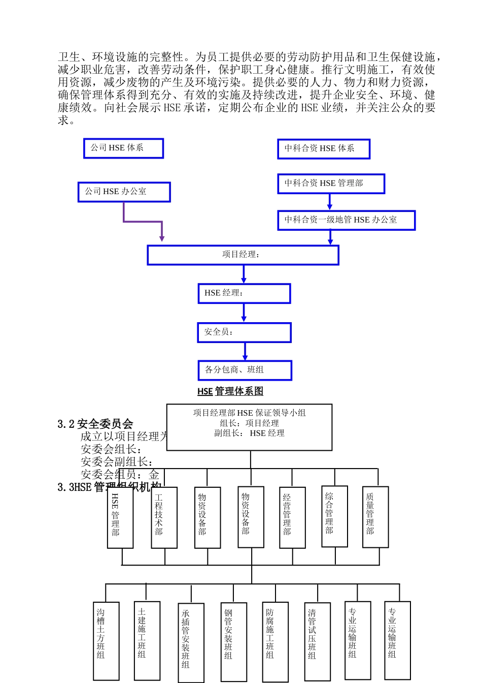 中科合资广东炼化一体化项目HSE管理策划书_第2页