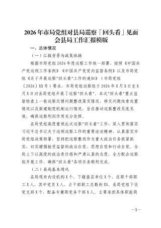 2026年市局党组对县局巡察「回头看」见面会县局工作汇报模版