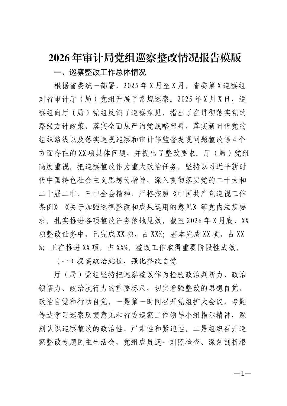 2026年审计局党组巡察整改情况报告模版_第1页