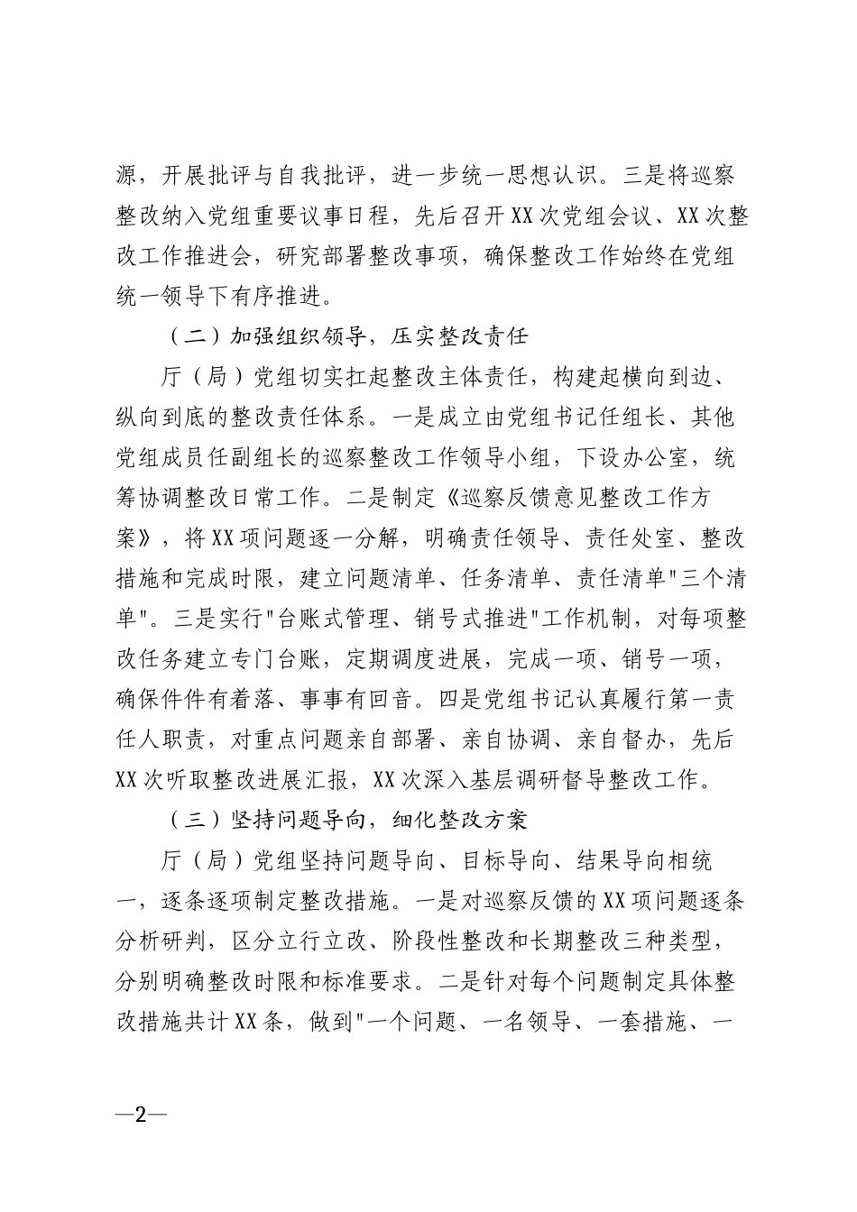2026年审计局党组巡察整改情况报告模版_第2页