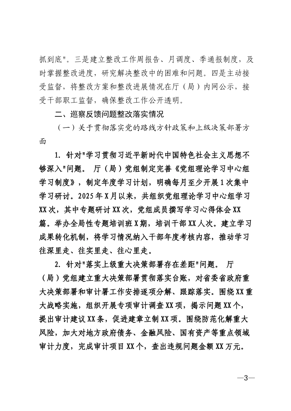 2026年审计局党组巡察整改情况报告模版_第3页