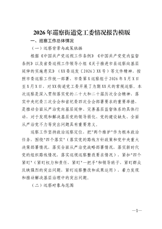 2026年巡察街道党工委情况报告模版