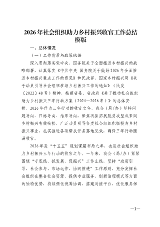 2026年社会组织助力乡村振兴收官工作总结模版
