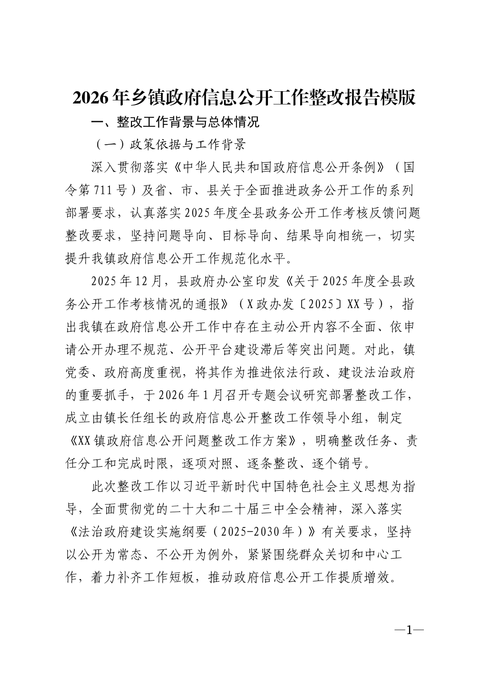 2026年乡镇政府信息公开工作整改报告模版_第1页