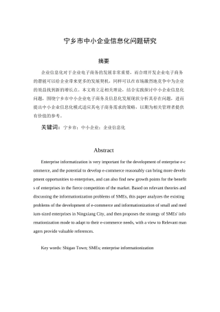 宁乡市中小企业信息化问题研究分析  计算机科学与技术专业