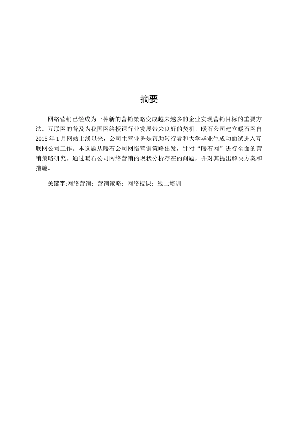 暖石公司网络营销策略研究分析 市场营销专业_第2页