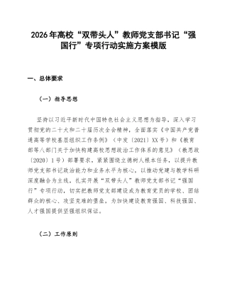 高校双带头人教师党支部书记强国行专项行动实施方案模版