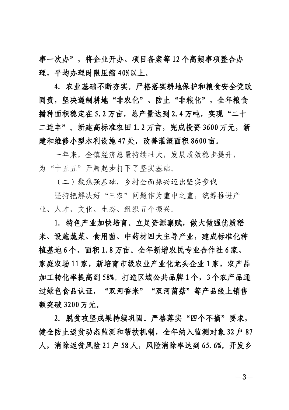 2026年乡镇人代会政府工作报告模版_第3页