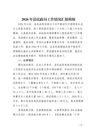 2026年县民政局工作情况汇报模版